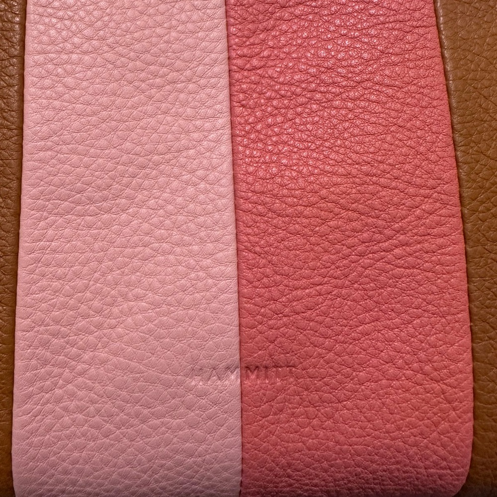 Hammitt Tan Leather Crossbody with Pink and Coral Stripes - Picture 3 of 16